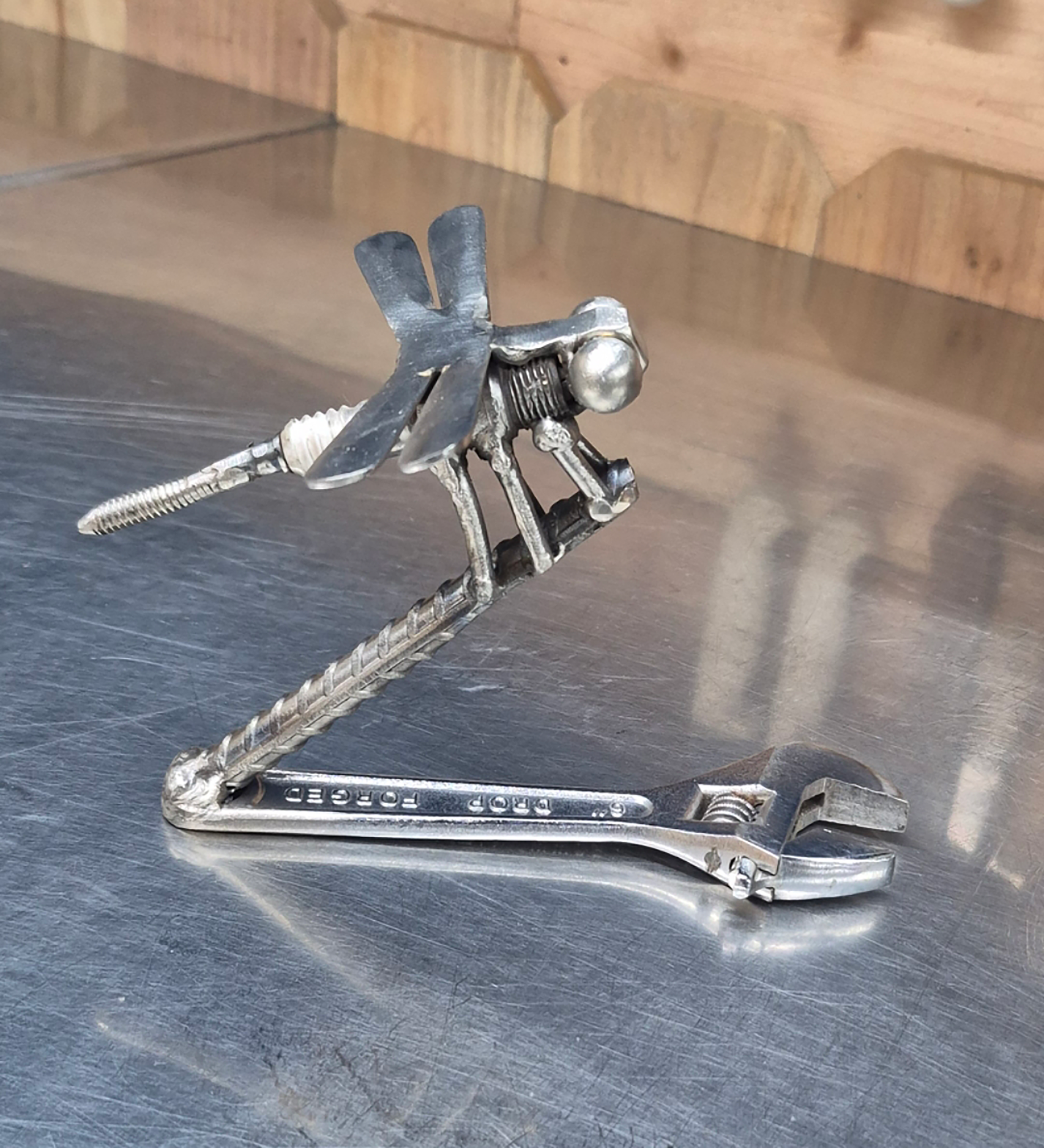 🪰 Resting Flight Dragonfly Tool Art 🔧✨