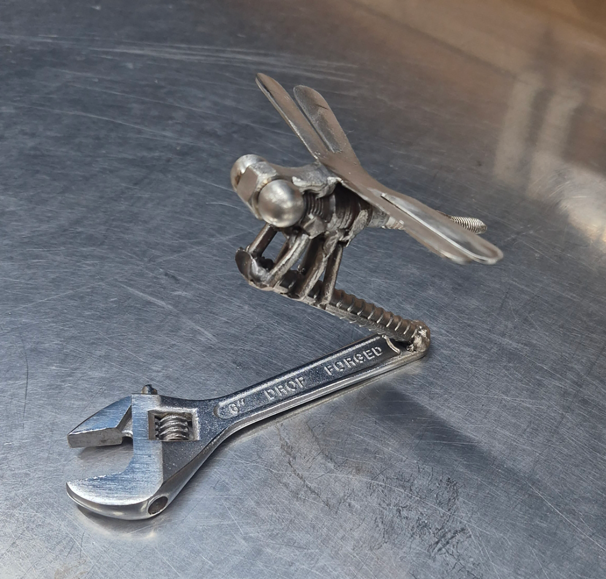 🪰 Resting Flight Dragonfly Tool Art 🔧✨